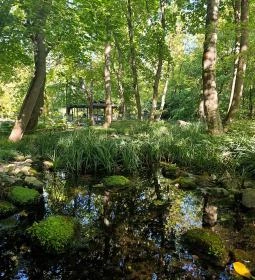 Szentendrei Japánkert