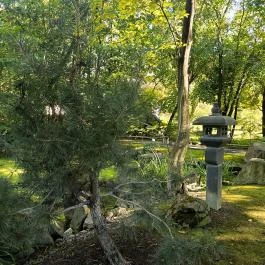 Szentendrei Japánkert Szentendre - Egyéb