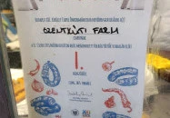 Szentkúti Farm - Csepeli piac Budapest