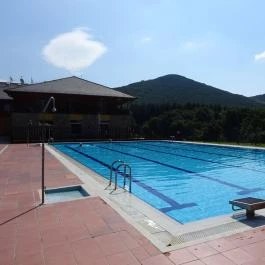 Szent Orbán Erdei Wellness Hotel Kóspallag - Medence/kert