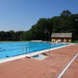 Szent Orbán Erdei Wellness Hotel Kóspallag - Medence/kert