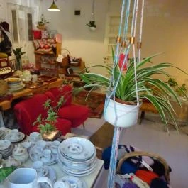 Szerpentin Szalon Régiségbolt & Kávézó, Budapest - Belső