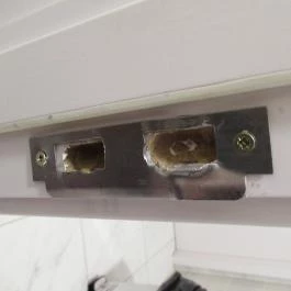 Szervita Delikát, Budapest - Egyéb