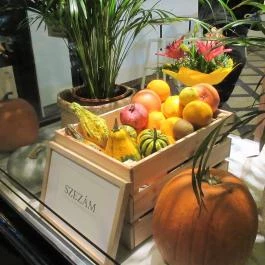 Szezám Budapest - Egyéb