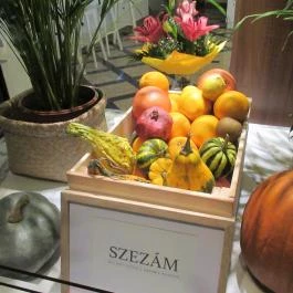 Szezám Budapest - Egyéb