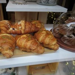 Szezám Budapest - Egyéb