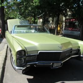 Szieszta Klub Gyöngyös - Egyéb