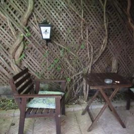 Szieszta Klub Gyöngyös - Egyéb