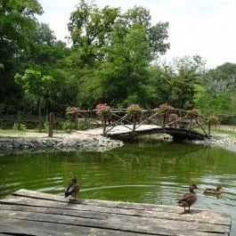 Szigethalmi Családi Vadaspark Szigethalom - Egyéb