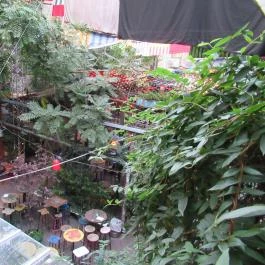 Szimpla Kert Budapest - Egyéb