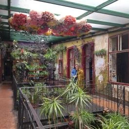 Szimpla Kert Budapest - Egyéb