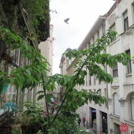 Szimpla Kert Budapest - Egyéb