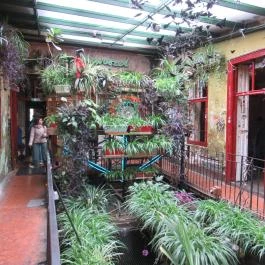 Szimpla Kert Budapest - Egyéb