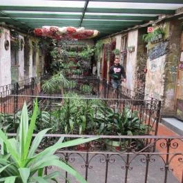 Szimpla Kert Budapest - Egyéb