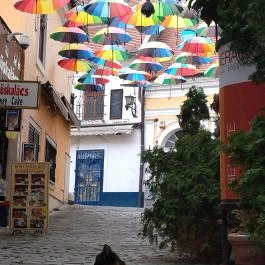 Színes esernyők Szentendre - Egyéb