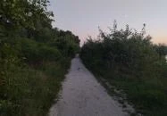 Szitakötő Street Food Budapest