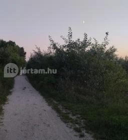 Szitakötő Street Food