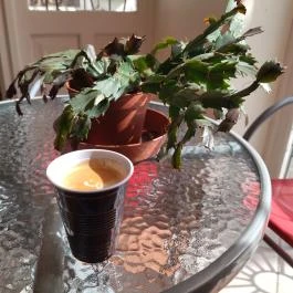SziTi Caffee Makó - Étel/ital