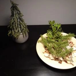 Tábla Budapest - Egyéb