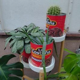 Taco Bar Budapest - Egyéb