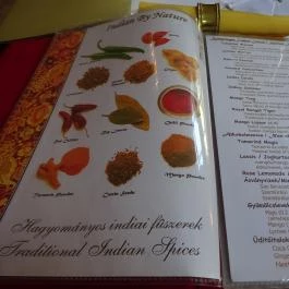 Taj Mahal Indiai Étterem Budapest - Étlap/itallap