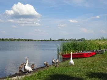 Talléros Söröző Markaz