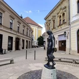 Táncosnő szobor Székesfehérvár - Egyéb