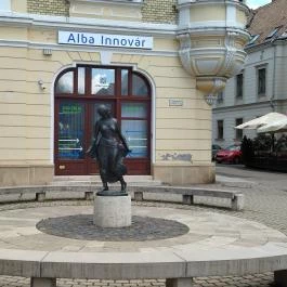 Táncosnő szobor Székesfehérvár - Egyéb