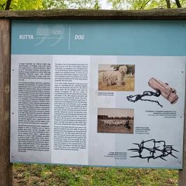 Tanyamúzeum Lajosmizse - Egyéb