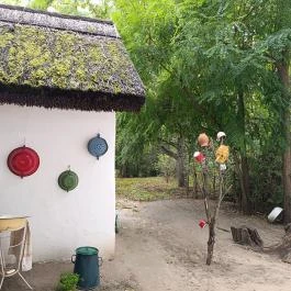 Tanyamúzeum Lajosmizse - Egyéb