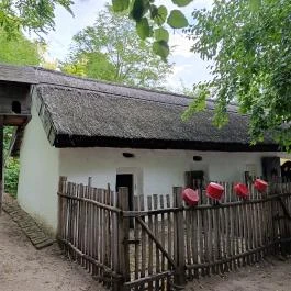 Tanyamúzeum Lajosmizse - Egyéb