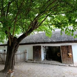 Tanyamúzeum Lajosmizse - Egyéb