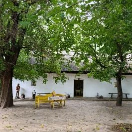 Tanyamúzeum Lajosmizse - Egyéb