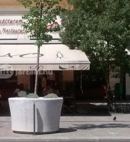 Tao Kávézó & Étterem