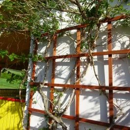 Tara Teaház - Kőrösi Csoma Sándor Emlékpark, Tar - Külső kép