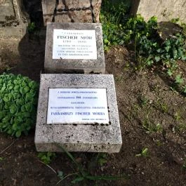 Tatai izraelita temető Tata - Egyéb