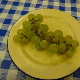 Taverna Zorbas Görög Étterem - Lövőház utca Budapest - Étel/ital