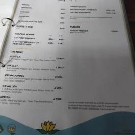 Tavirózsa Étterem, Gyöngyös - Egyéb