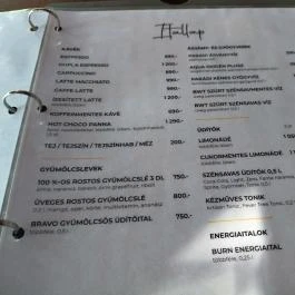 Tavirózsa Étterem, Gyöngyös - Étlap/itallap