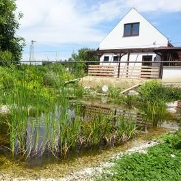 Tavirózsa Kalandpark, Keszthely - 