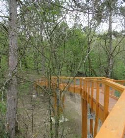 Tavirózsa Tanösvény