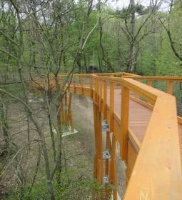 Tavirózsa Tanösvény