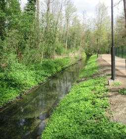 Tavirózsa Tanösvény