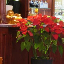 Tay Ho Vietnámi Étterem Budapest - Egyéb