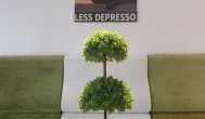 Teaffe, Budapest
