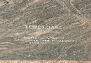 Teiresziász szobor - látássérült & kutyája Budapest