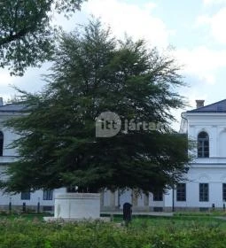 Teleki-Tisza-kastély