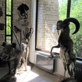 Tercia Hubertus étterem, Sopron - Egyéb