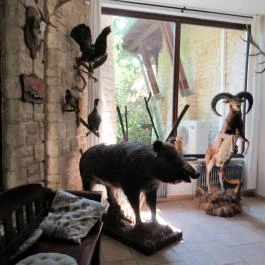 Tercia Hubertus étterem, Sopron - Egyéb