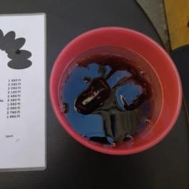 Teufel Budapest - Étel/ital